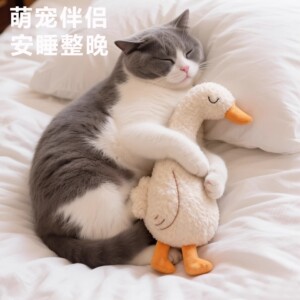 Cat toys, soothing companions, plush dolls, kitten sleeping companions, self-pleasure and relief from boredom, sound paper, all-stage dogs, Abeibei