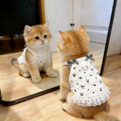 Cat Clothes, Thin Breathable Suspender Skirt, Cute Lace Anti-Shedding Fabric, Golden Gradient Pet Dog Princess Dress