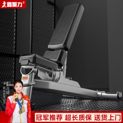 Commercial Dumbbell Bench, Multi-Functional Bench Press Bench, Professional Adjustable Fitness Chair, Adjustable up and Down, Gym, Men's Home Use