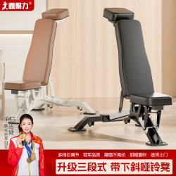 Dumbbell Bench for Home Fitness, Multifunctional Bench Press Bench, Professional Fitness Chair, Commercial Gym, Adjustable up and down Incline