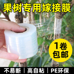 Special Film for Grafting Fruit Trees, Wrapping Film, Pe Self-Adhesive Film, Grafting Film, Garden Tree Grafting Tape