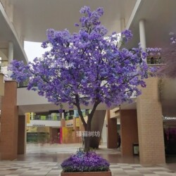 Simulated Jacaranda Tree, Large Fake Tree, Blue and Purple Floor-Standing Floral Arrangement, Indoor and Outdoor Wedding Window Background Decoration Tree