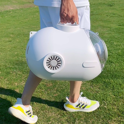 Space Capsule Cat Nest with Fan, Portable Out-And-Out Pet Bag, Diagonal Portable Cat and Dog Capsule Flight Box Cage