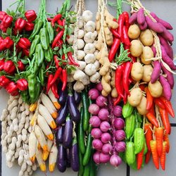 Artificial Fruit and Vegetable Models, Chili Pepper, Vegetable String Decorations, Wall Hangings, Garden Display, Baby Bok Choy, Pumpkin, Fruits and Vegetables