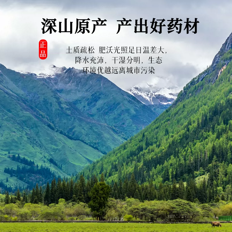 淮山药鸡内金组合正品中药材干官方旗舰店调理脾胃怀山药炒鸡内金