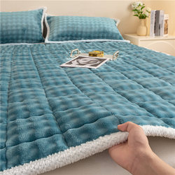 Milk Velvet Mattress Soft Pad Warm Bed Mattress Lamb Velvet Single Student Dormitory Spliced Mattress Kang Pad