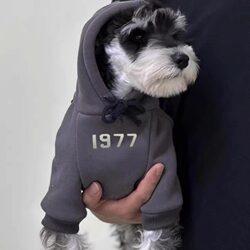 Pet Clothes for Autumn and Winter, Stylish Clothes for Dogs and Cats, Winter Warm and Fleece-Lined, Handsome Male Cats and Cute Puppies