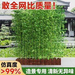Real Bamboo Outdoor Decorative Landscaping Fence with Live Green Plants, Courtyard Partition Ornament, Hotel Indoor Dense Screen