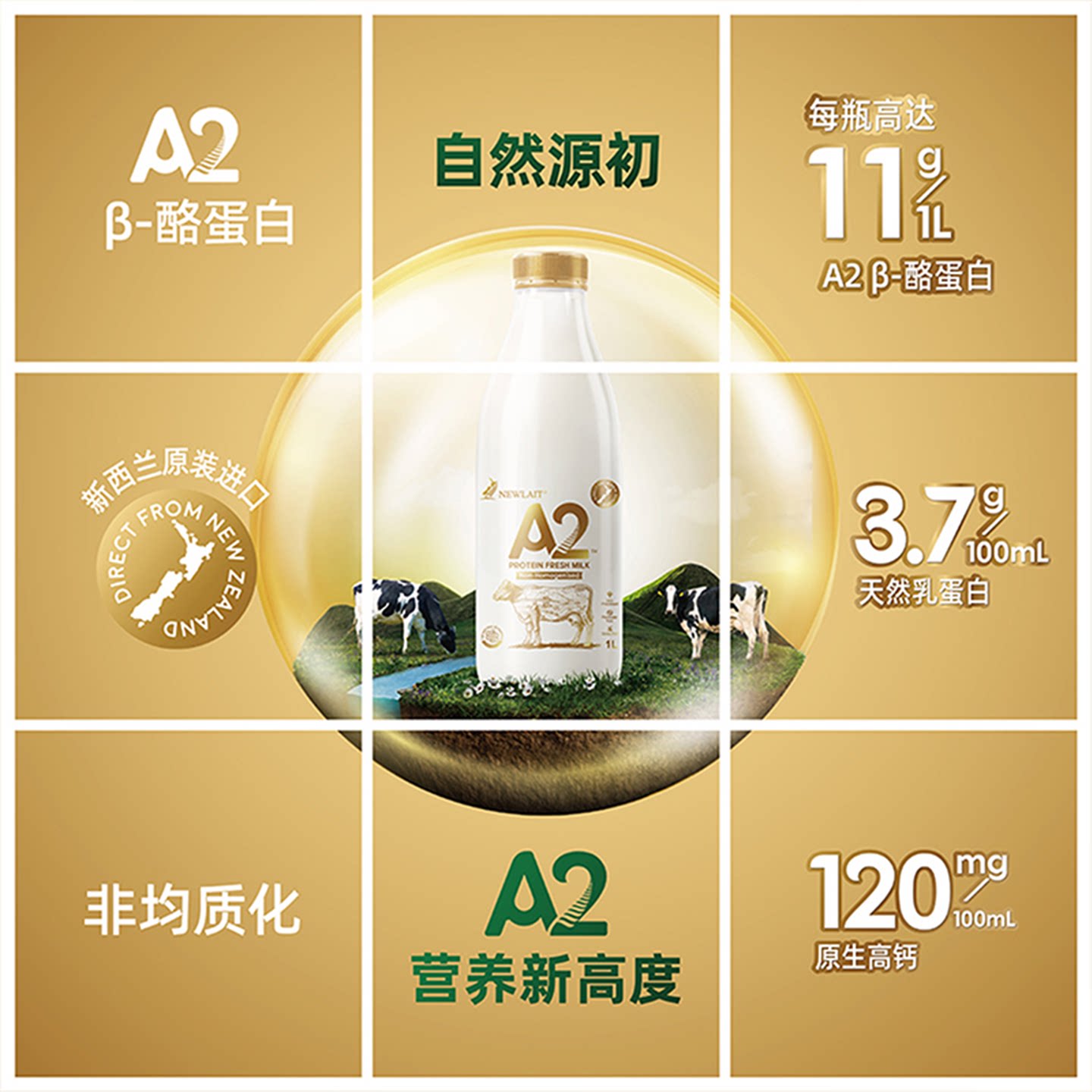 【1L】纽兰特NewlaitA2酪蛋白鲜牛奶新西兰原装进口巴氏冷藏牛乳-淘宝网