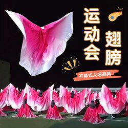Creative Props for the Sports Meeting: Color-Changing Wings for School Campus Large-Scale Group Exercises, Specialized Wings for Dance Props