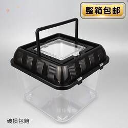 Transparent Plastic Goldfish Tank, Open-Style, Portable, Breathable Turtle Breeding Box, Black Lid, Pet Transport Box, for Home Use