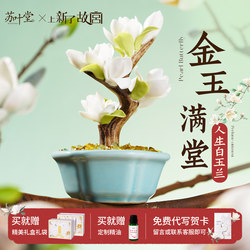 Su Ye Tang Has Introduced a New Imperial Palace Fragrance Gift Box with Aroma Diffuser Stone, a Practical and High-End Birthday Gift for Girls, Perfect for Giving to a Best Friend