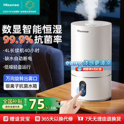 Hisense Humidifier for Home Use, Silent, Suitable for Pregnant Women and Infants, for Bedrooms and Living Rooms, Air-Conditioned Rooms, Large Mist Output, Air Misting Machine