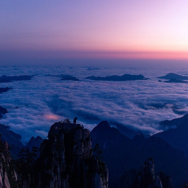 黄山出发 黄山风景区1日跟团游 迎客松/光明顶/北海景区