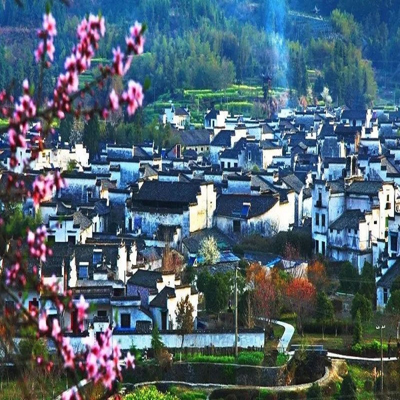 黄山出发(纯玩)婺源篁岭+宏村+西递2天1晚跟团游 宿高档型酒店