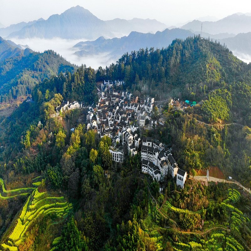 【晒秋】黄山出发(纯玩无购物)婺源篁岭1日游