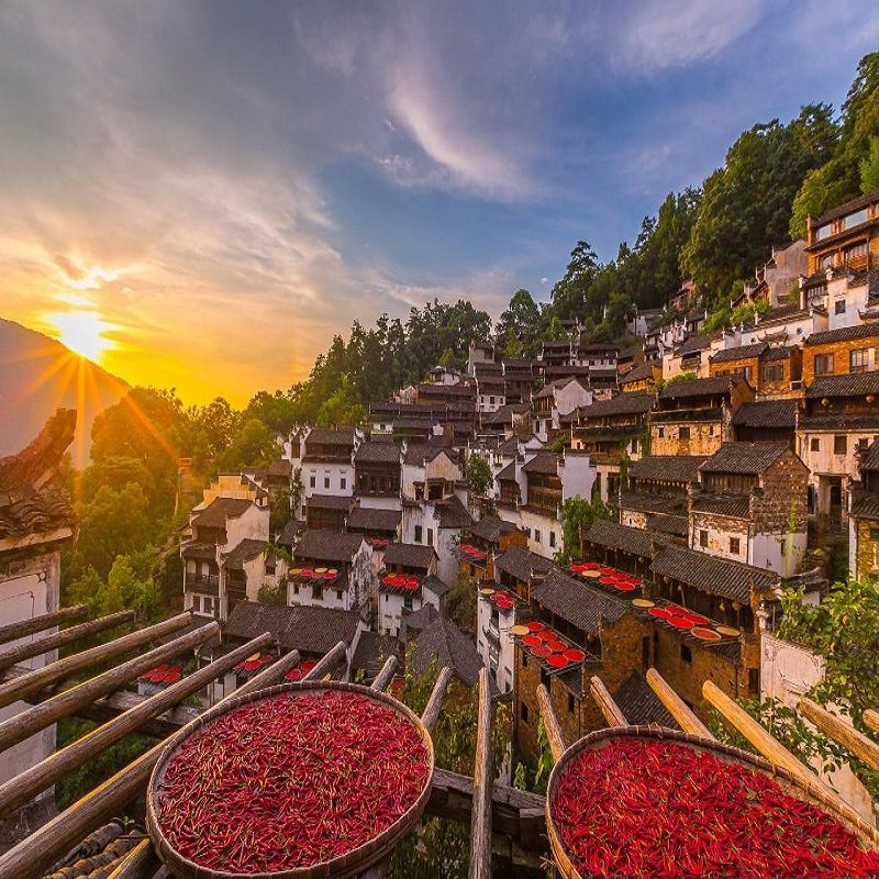 黄山出发【纯玩】黄山+婺源篁岭+西递宏村3天2晚跟团游