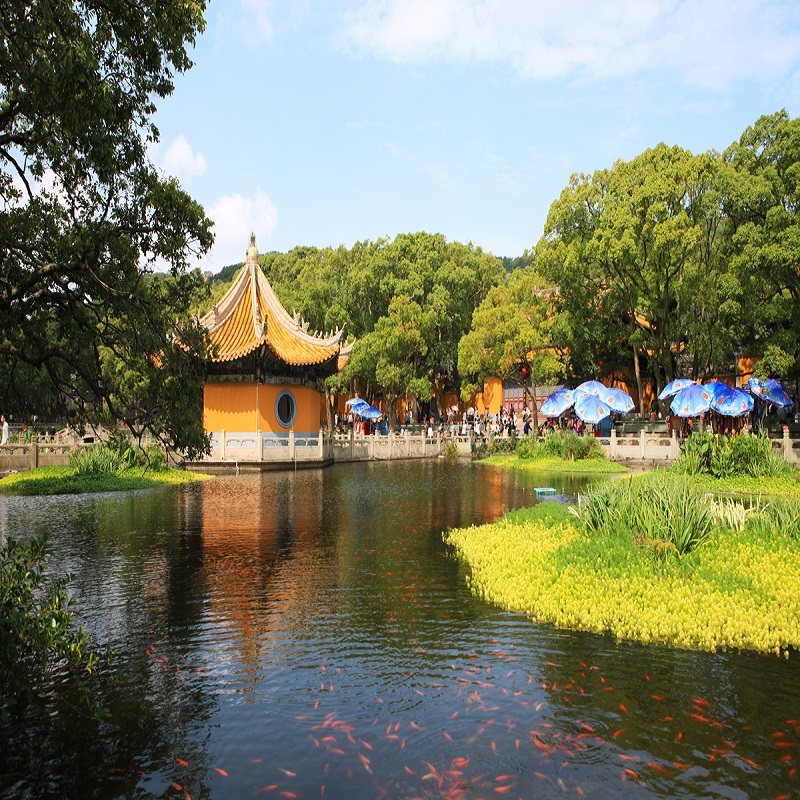 杭州出发【纯玩】普陀山2天1晚跟团游 夜宿普陀山 祈福之旅
