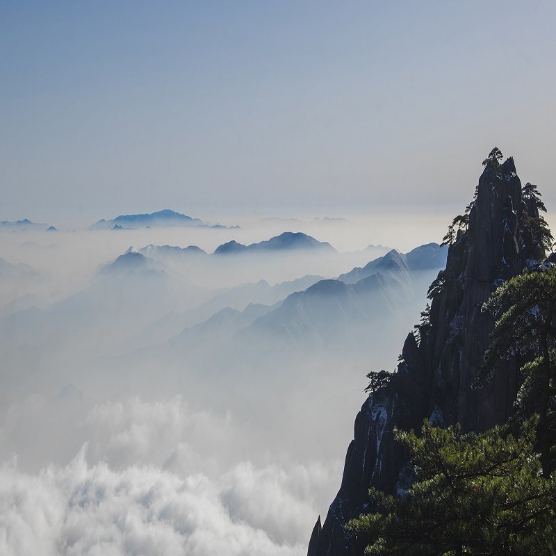 【宿山上】黄山风景区2天1晚跟团游(纯玩)登黄山赏奇松怪石