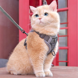 Cat traction rope vest, anti-breakaway, special cat walking rope, pet harness chain, adjustable cat walking artifact