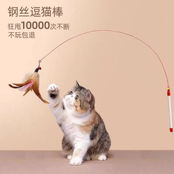 Funny Cat Stick Cat Toy Self-Pleasure Relief Kitten Steel Wire Long Pole Feather Small Bell Bite-Resistant Kitten Pet Toy