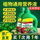 Plant compound fertilizer general flower fertilizer potted flower nutrition solution vegetable green ivy fortune tree organic fertilizer root powder