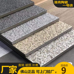 Eco-Friendly Paving Stone Pc Brick Quartz Brick Imitation Stone Brick Imitation Granite Tile Thick Brick Garden Landscape Square Brick 18mm