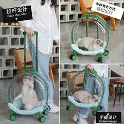 Cat Carrier Bag, Popular Online, Large Capacity for Two Cats or Dogs, Transparent Pet Travel Box, Portable Space Capsule Bubble Box