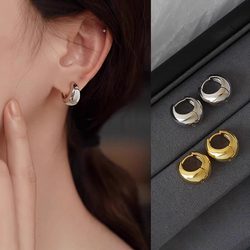 925 Silver Needle High-End Simple Gold Hoop Earrings 2024 New Popular French Style Light Luxury Minimalist Earrings