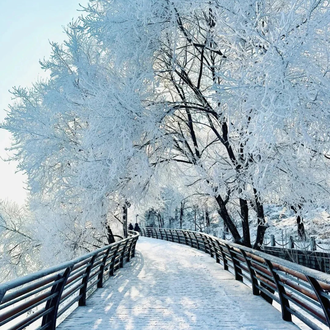 2-12人吉林+延边纯玩7日/长白山-鲁能度假区-延吉-不限时滑雪