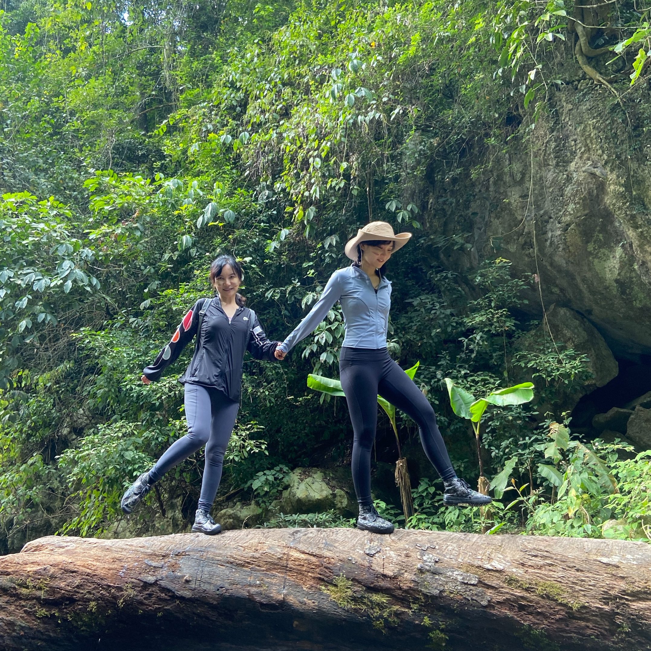 西双版纳勐远仙境 雨林徒步 一日游 雨林穿越-适合亲子家庭