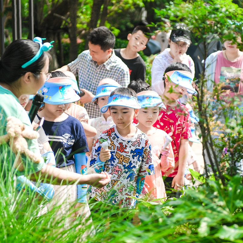 西双版纳中科院热带植物园景区纯玩一日游-资深导游讲解-可选夜游