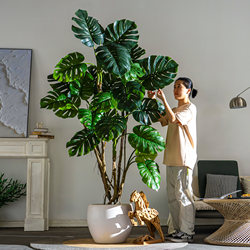 Simulated Tropical Plant Monstera Floor-Standing Indoor Living Room Decoration, Artificial Green Plant Spring Rain Tree Fake Tree Potted Decoration