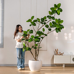 Large Artificial Plant Bengal Banyan Tree Decoration for Living Room Floor-Standing Indoor Ornament, Simulated Green Plant Potted Landscape