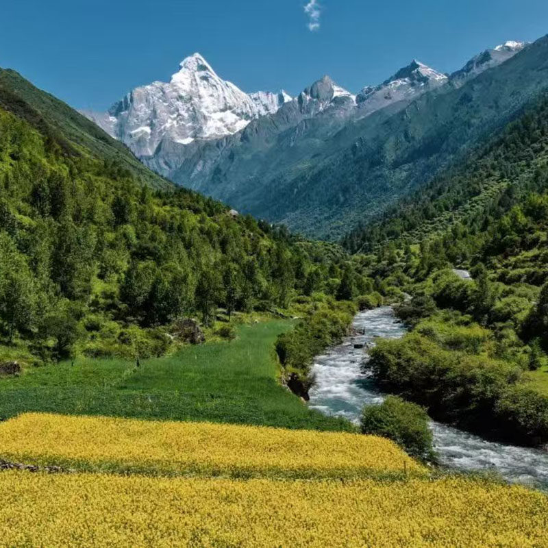 成都都江堰到四姑娘山双桥沟长坪沟拼车商务车直通车直达无购物