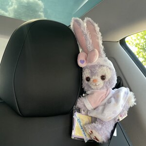 Tesla car decorative Star Dewu curtain buckle car belt cute doll car decoration Dafeeli Xiaohongshu