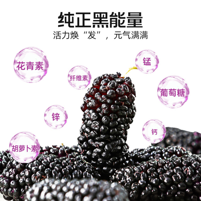 Baiyunshan Yingkang black mulberry dry soaked water mulberry tea ...