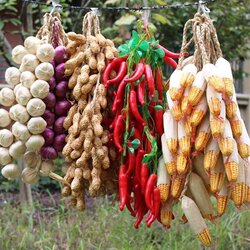 Simulated Fruits and Vegetables, Simulated Corn, Red Pepper, Garlic Skewers, Fake Peanut Pendants, Farmhouse Restaurant Decoration Props