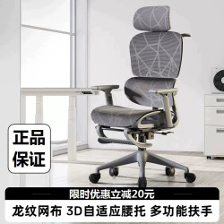 Dibesen E3 Ergonomic Chair Home Computer Chair Comfortable Office Chair Backrest Seat Study Chair Gaming Chair
