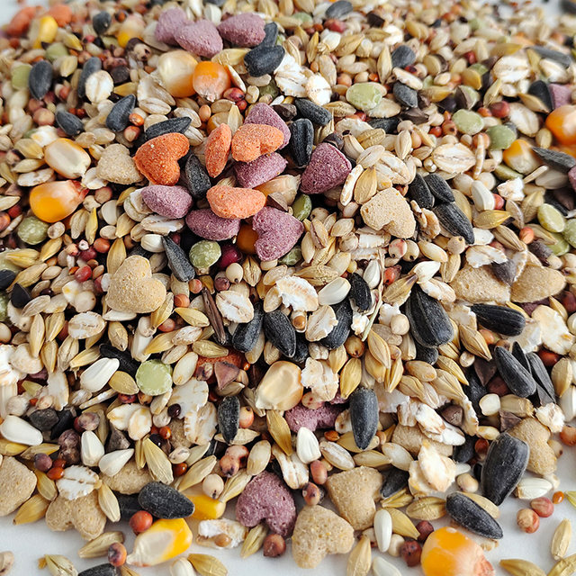 Millet Based Guinea Pig Feed Reference: Nutritional Five Barn Rat Grain Millet Corn Wheat Grain Hamster