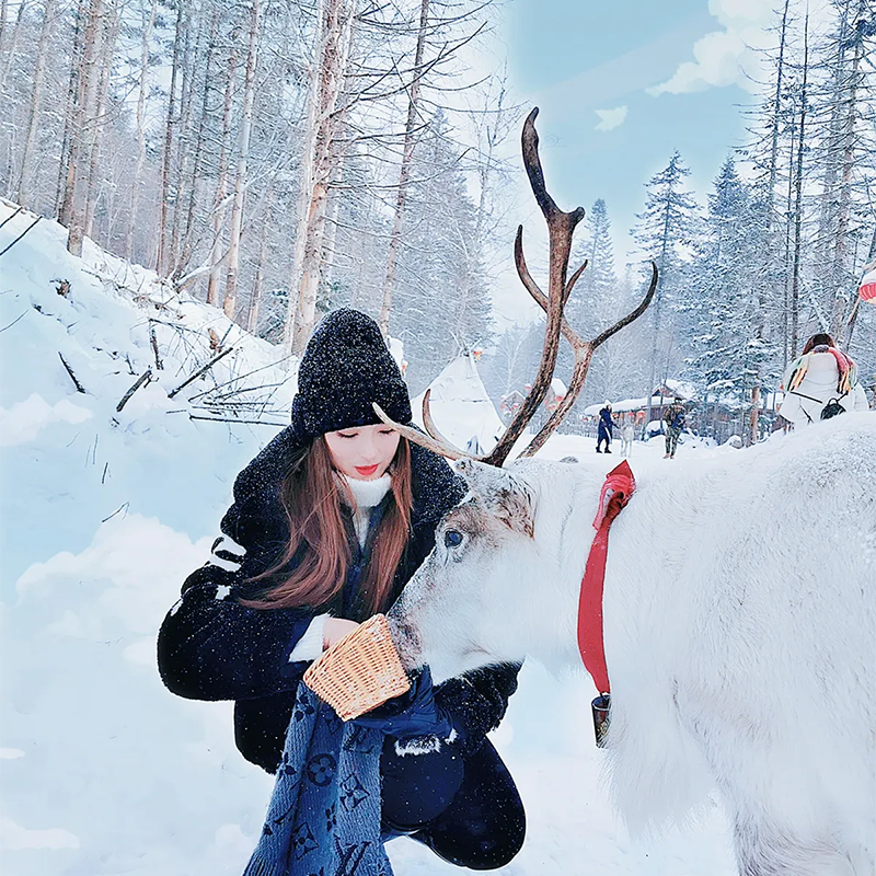 8人拼小团 东北吉林雾凇雪乡哈尔滨冰雪大世界长春伪满皇宫6天5晚