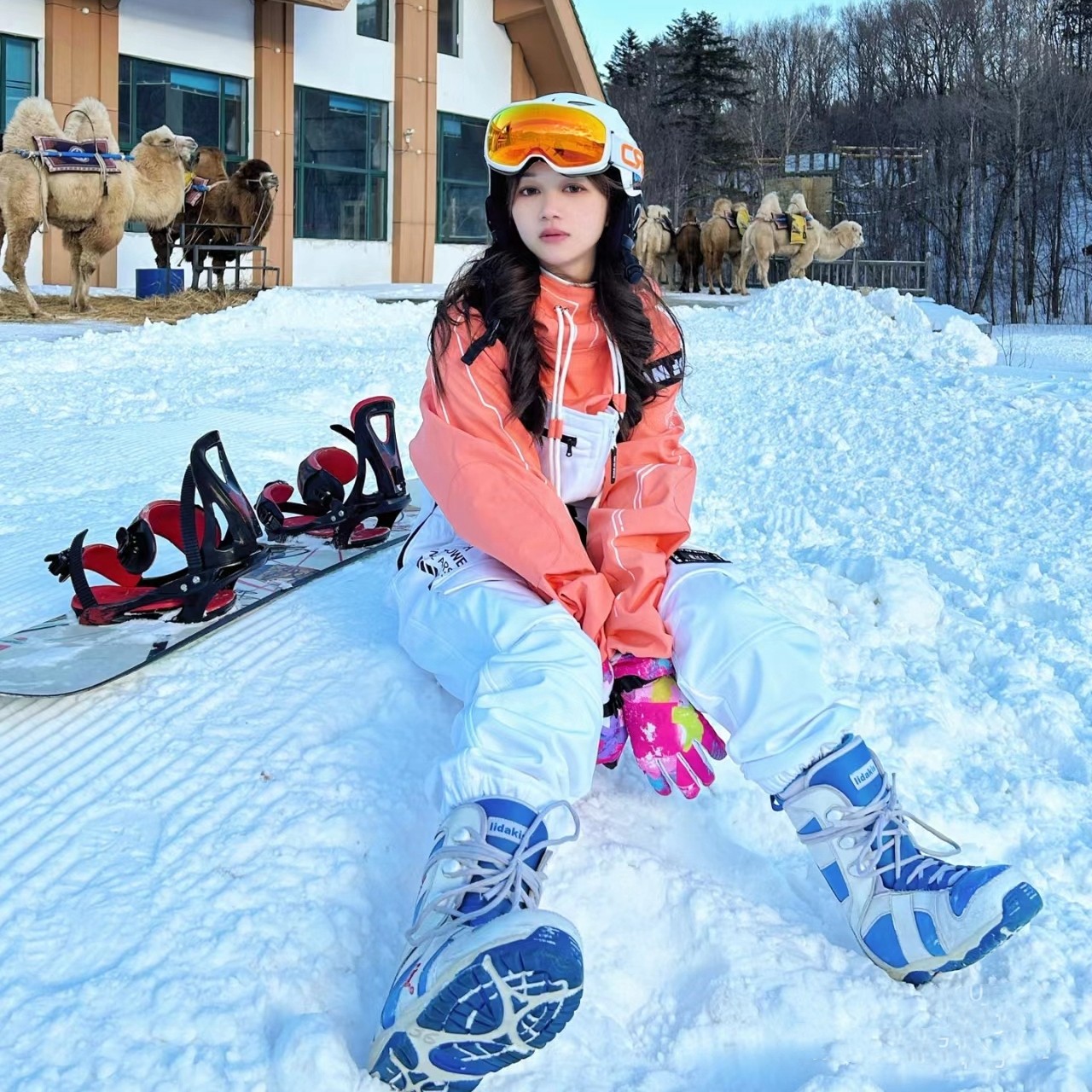 亚布力滑雪一日游含滑雪3小时+马拉爬犁+索道+6项娱乐项目 纯玩团