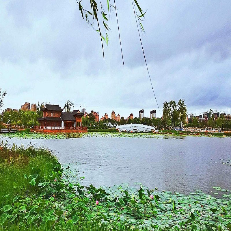 哈尔滨伊春石林+五营+鹿苑+五大连池+丹顶鹤之乡+扎龙保护区6日游