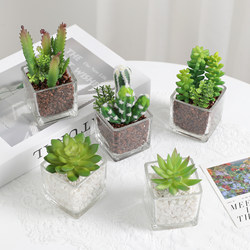 Simulated succulent bonsai flocked mini ornaments