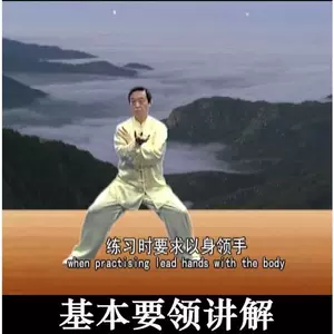 太極拳推手dvd - Top 100件太極拳推手dvd - 2024年4月更新- Taobao