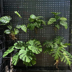 Artificial Soft Rubber Monstera Leaves with a High-End Feel, Large Bunch of Leaves with Stems, Nordic Green Plants for Background Wall, Flower Arrangement, and Landscaping Decoration