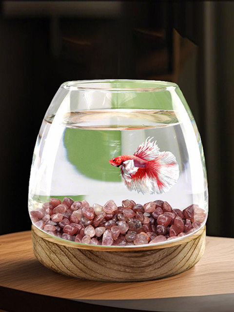 2025 new fish tank living room small glass goldfish tank office desktop ...