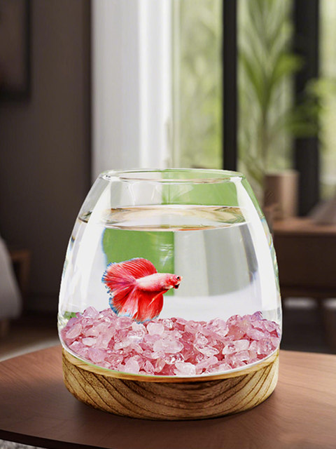 Image showcasing 2025 new fish tank living room small glass goldfish tank office desktop ...