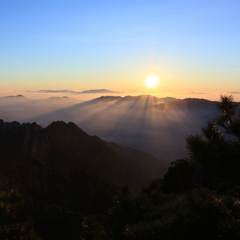 黄山风景区 | 2天1晚跟团游/住山顶观日出/赏云海奇松/纯玩无购物