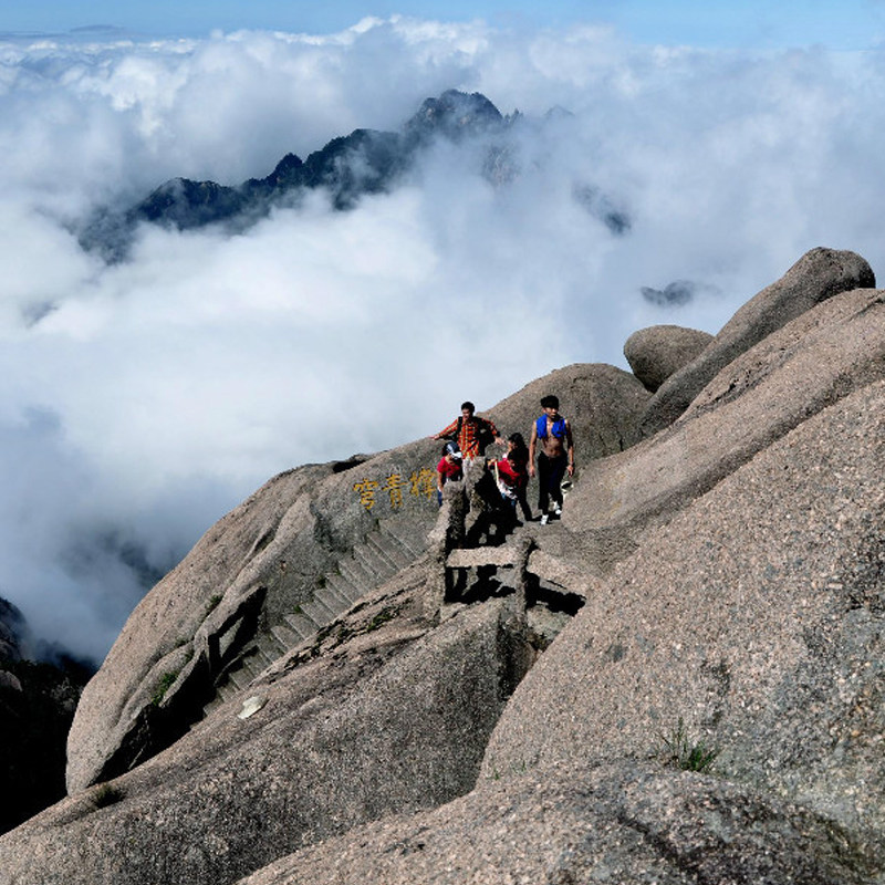黄山一日游 | 前山后山部分游览/不走回头路/深度游/全程无购物